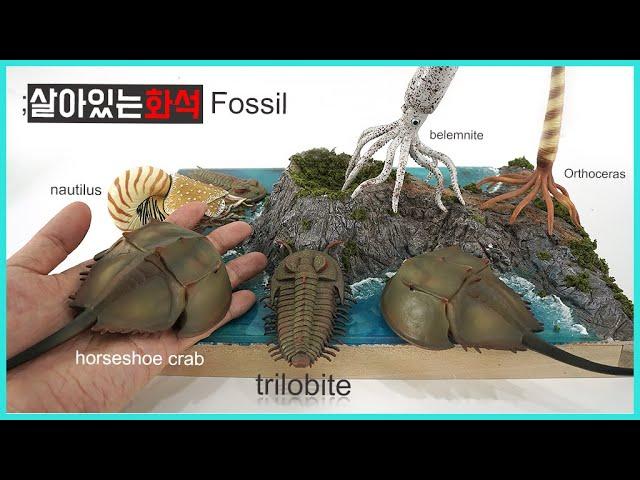 alive dinosaur fossil figure review. trilobite etc