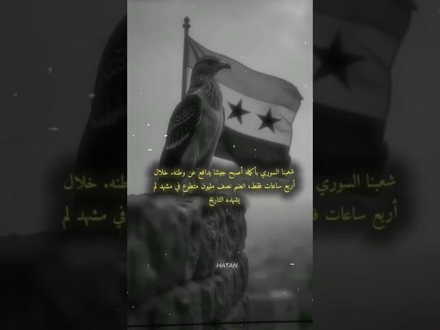 ٨ مارس ٢٠٢٥