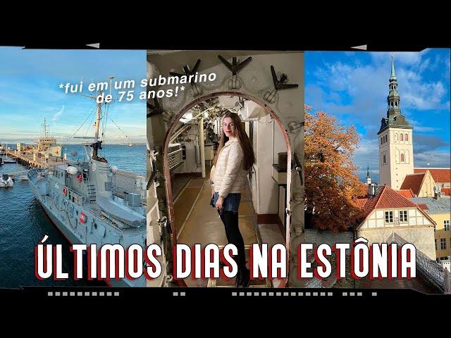 DIA 2 EM TALLINN, na Estônia + Como é morar e trabalhar aqui? 