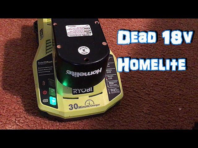 Charging a 3yr Old Dead 18 v Homelite Battery with a Ryobi Intelliport  Charger