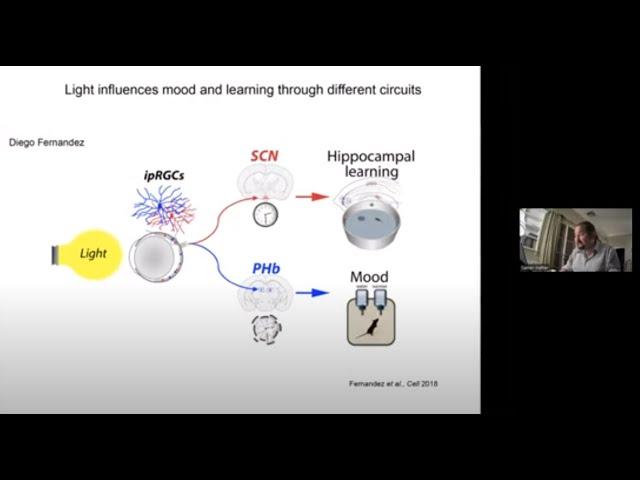 Prof Samer Hattar on "Retinal and brain circuits underlying the effects of light on behavior"