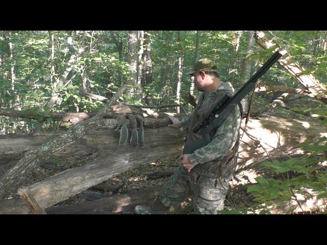 Umarex Origin .25 Caliber Squirrel Hunt (Multiple PCP Hunts) September Madness!