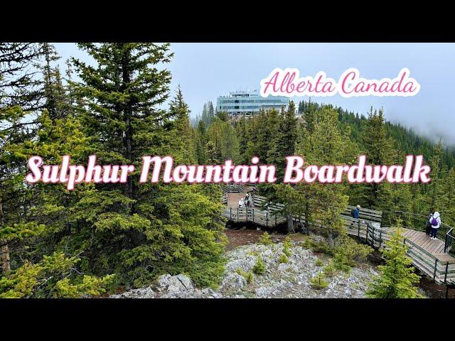 Banff Sulphur Mountain Boardwalk | Banff Gondola | Walking Tour | Alberta Canada