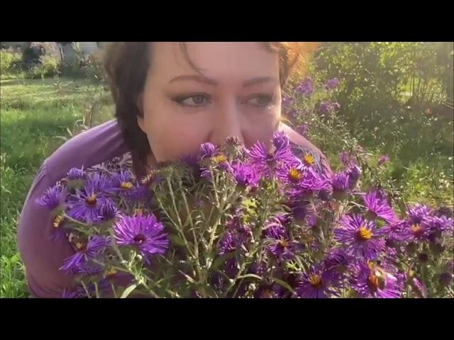 И леса шум, и неба синь