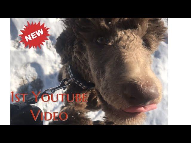 My first YouTube video