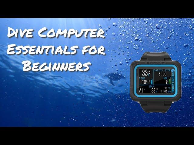 Dive Computer Essentials for Beginners