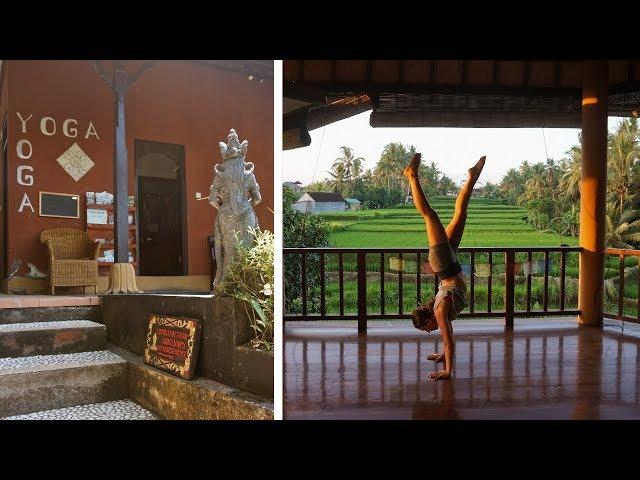 The Best Yoga Schools in Ubud, BALI |  5 different Yoga Studios