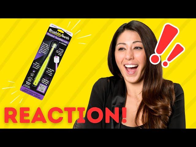 BUYER REACTION TO PET TOOTHBRUSH! | BrushMyTeeth Small Dog Toothbrush | BrushMyTeeth