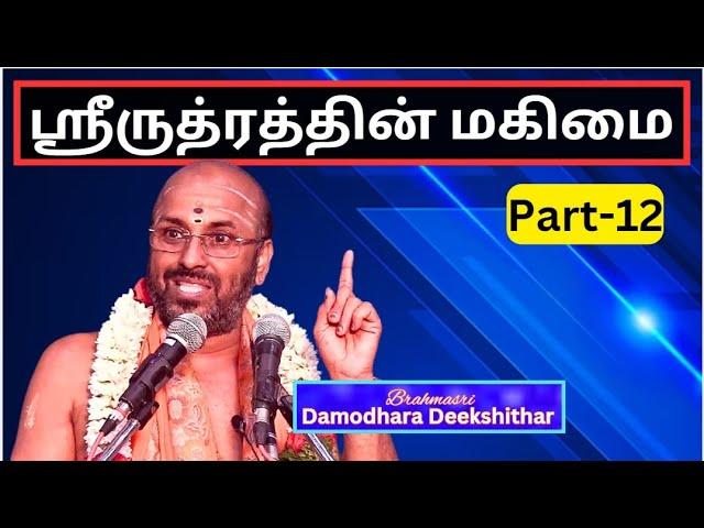 ஸ்ரீருத்ரத்தின் மகிமை 12, Glory of Sri Rudram -   Brahmasri Damodara Deekshitar