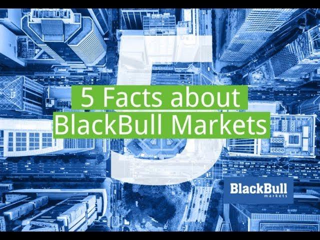 5 FACTS about BlackBull Markets