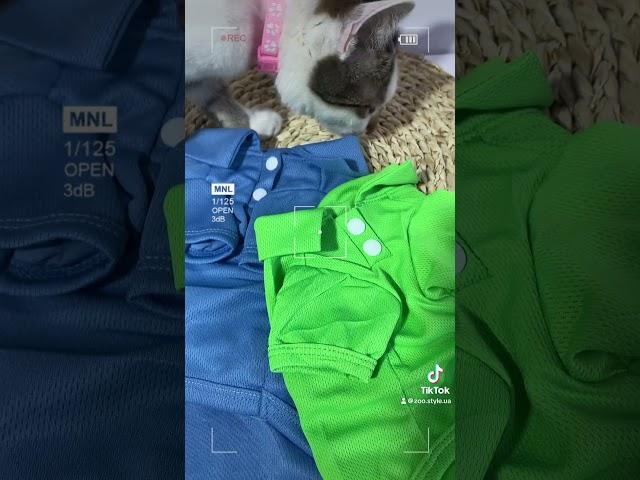 ЛІТНІЙ ОДЯГ ДЛЯ ТВАРИН ️Замовляйте на ZooStyle.in.ua #собаки #зоотовари #cat #котики #fashion