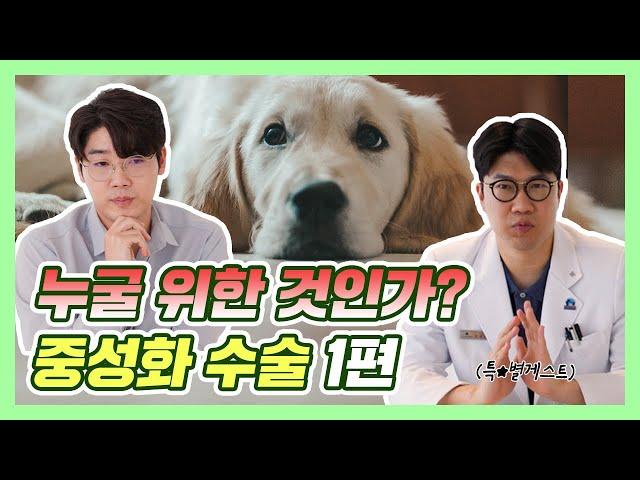 강아지 중성화 수술, 꼭 해야 하나요? | 설채현 행동학 수의사 (feat.VIP 동물의료센터 김종인 원장)