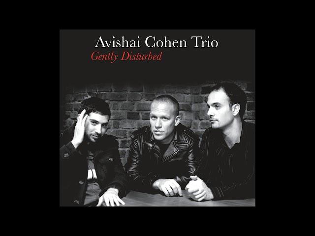 Avishai Cohen - Umray