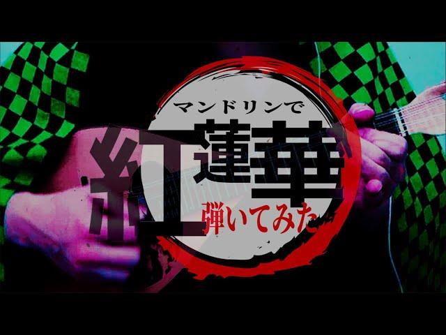 【新入生勧誘演奏動画にお勧め！】紅蓮華　～マンドリンデュオで奏でる鬼滅の刃より～