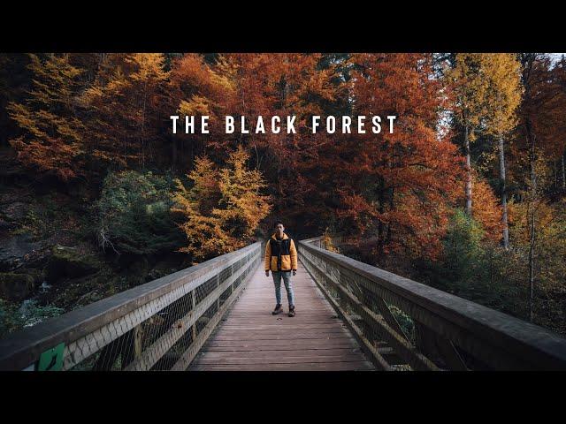 Discover the Black Forest of Germany with me