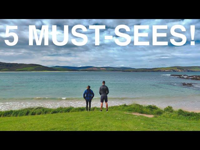 5 MUST-SEE Locations In The Catlins! | The Catlins, New Zealand