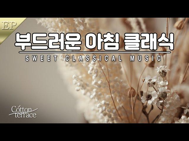 부드러운 아침을 위한 명곡 클래식 음악 모음 | 달콤한 클래식 | 새소리 | 힐링