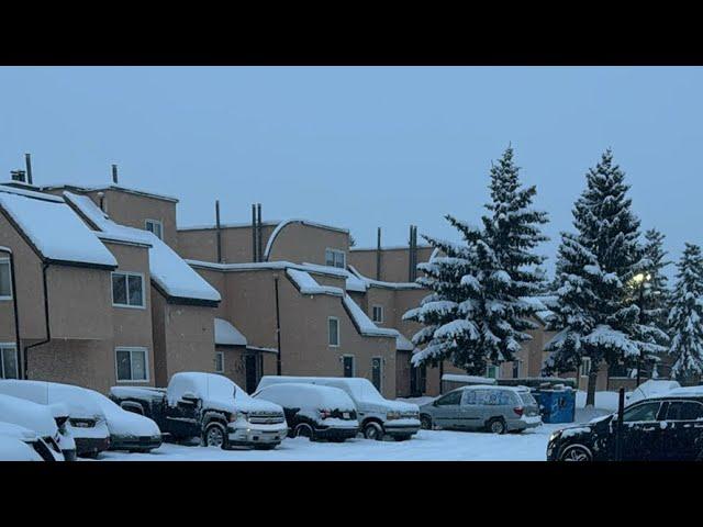 SNOWFALL ️️||Calgary Alberta Canada