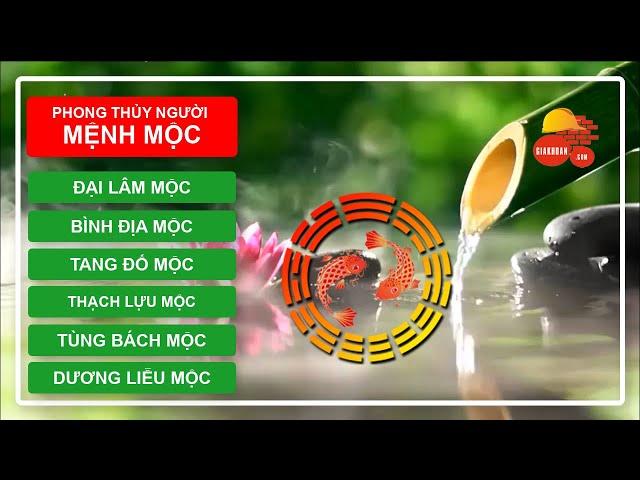 MỆNH MỘC và Phong Thủy | Ngũ hành nạp âm lục thập hoa giáp