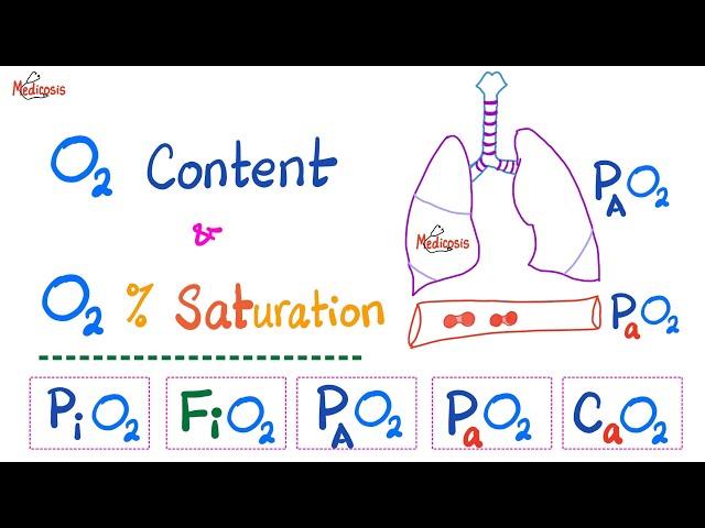 Oxygen Content - Oxygen Saturation (SaO2 %) - Oxygen Partial Pressure - Respiratory Physiology