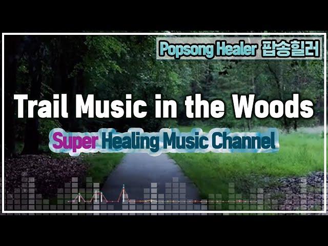 [Music-085] Dreamy Duet for the Best Trail : Harp and Violin in the Woods│숲속 트레일을 위한 힐링 하프, 바이올린 연주