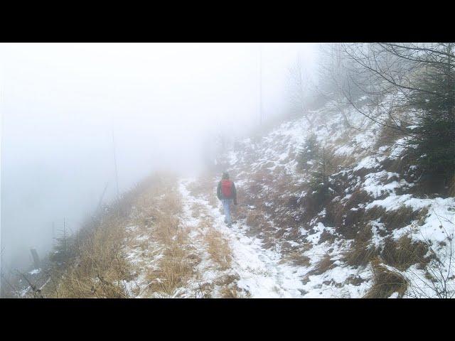 Our whirlwind 72h in the Carpathian Wilderness