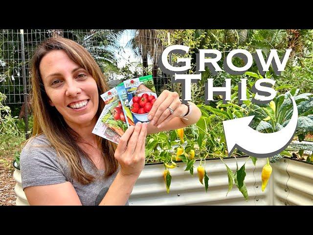 Vegetables that WORK!!! TOP PICKS for Florida Vegetable Garden