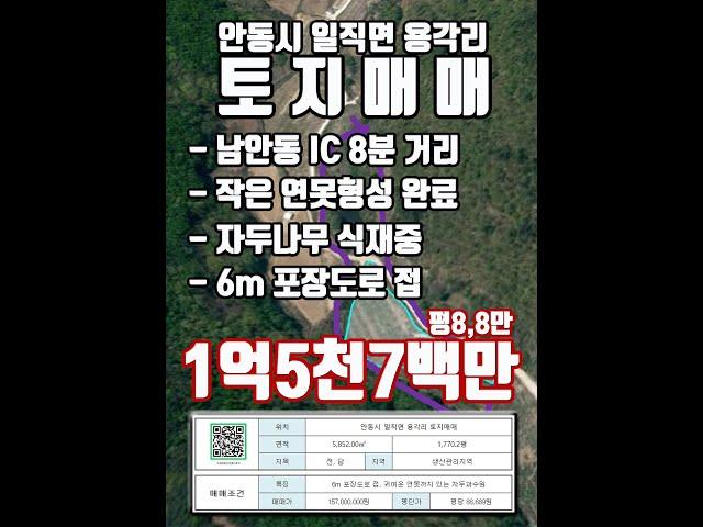 210  안동시 일직면 토지 1억5천7백만 #shorts