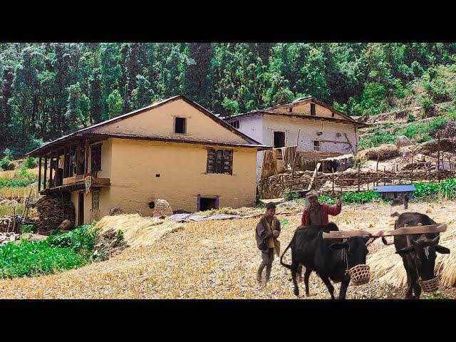 Most Beautiful Nepali Mountain village||Naturally Most Beautiful Nepal||@RURALLIFENEPAL