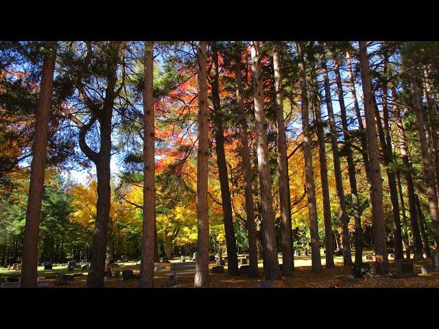 Door County, Wisconsin Fall Color 2022