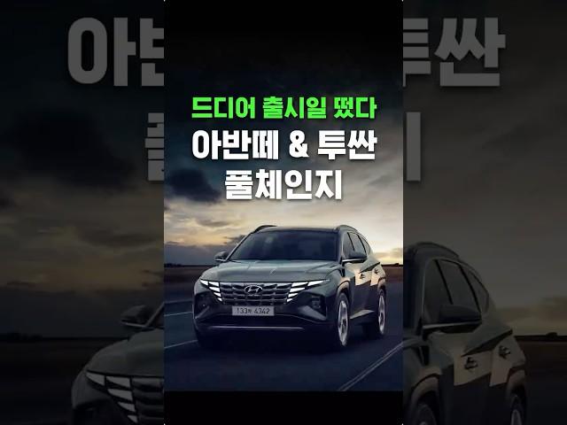 드디어 나온다... 아반떼 & 투싼 신형 계획 공개!