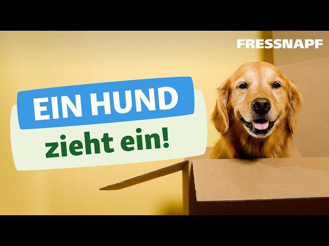 Ein Hund zieht ein - Alles zum Start mit dem neuen Hund