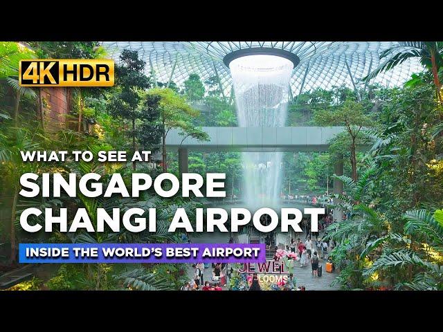 What Can You See at the World's BEST AIRPORT? | Take a Tour of Singapore Changi Airport【4K HDR】