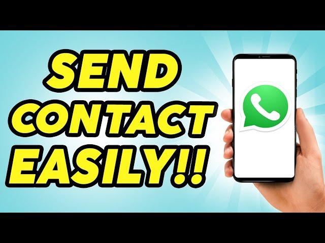 How to Send Contact in WhatsApp - Practically Simple