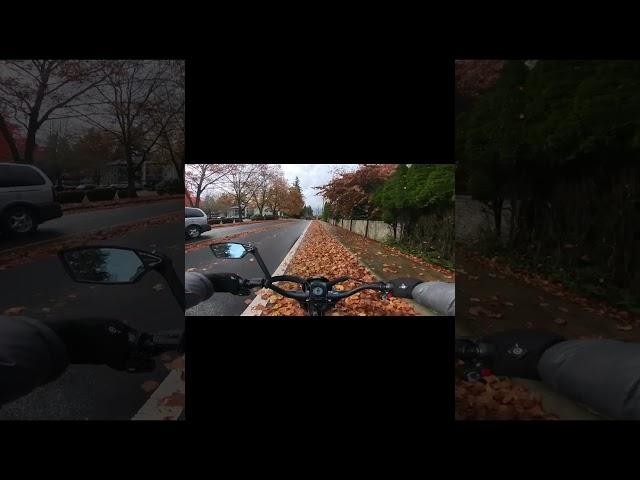 Bike Lanes Invaded By Leaves! #ebike #rain #road #bikelanes #ebiketips