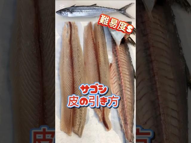サゴシの皮引き方法、難易度Sランク #サゴシ捌き #サゴシ刺身 #サゴシ