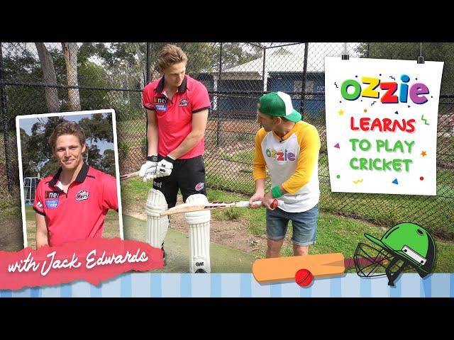 Cricket For Kids With Jack Edwards Sydney Sixers | Cricket Skills | Educational Video With Ozzie