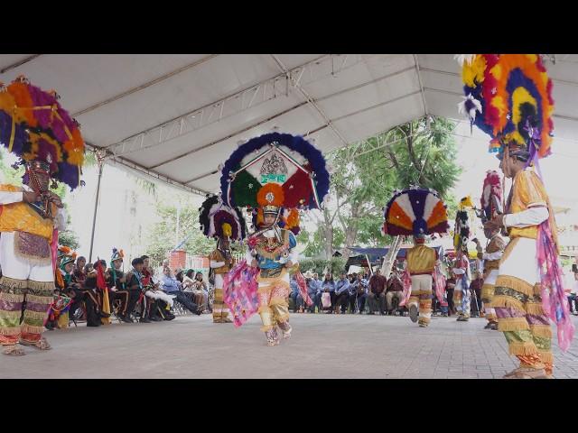 Danza de la Pluma en la Fiesta 2024 de San Agustín de las Juntas, Oax