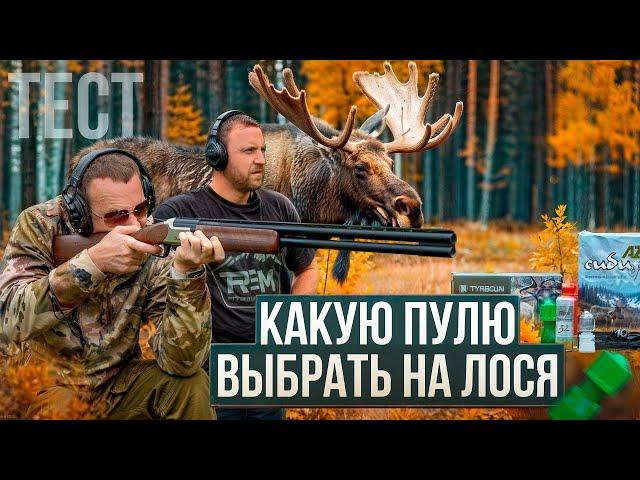 С гладким на лося! Какую российскую пулю купить? ОБЗОР И ТЕСТ лучших пуль 12 калибра. Охота на лося.
