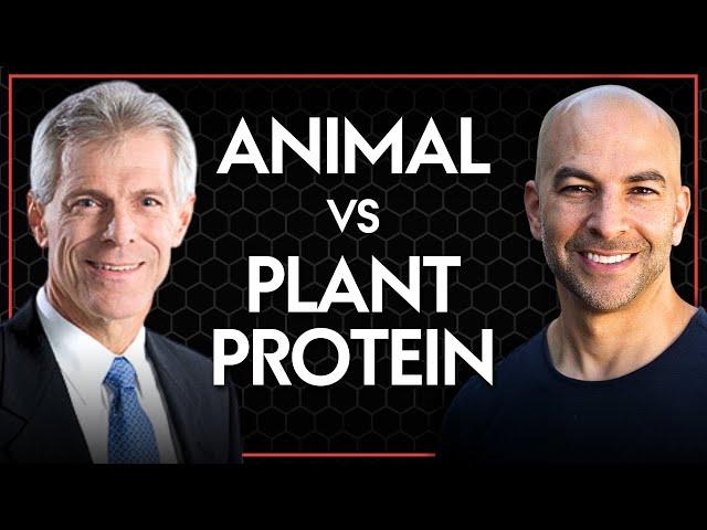 Animal protein vs. plant protein: determining quality and bioavailability | Peter Attia