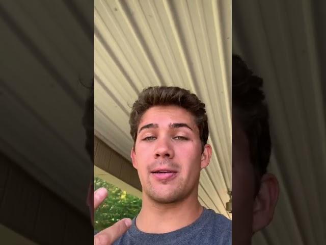 Stink Bug Infestation