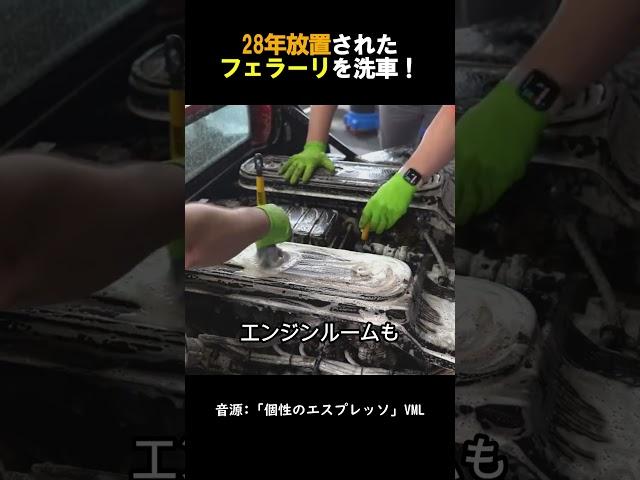 28年放置されたフェラーリを洗車！