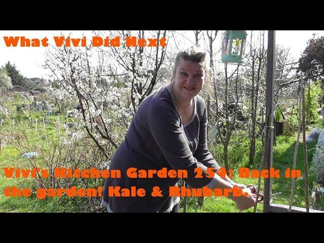 Vivi's Kitchen Garden 254: Back in the garden! Taunton Deane Kale & Rhubarb.