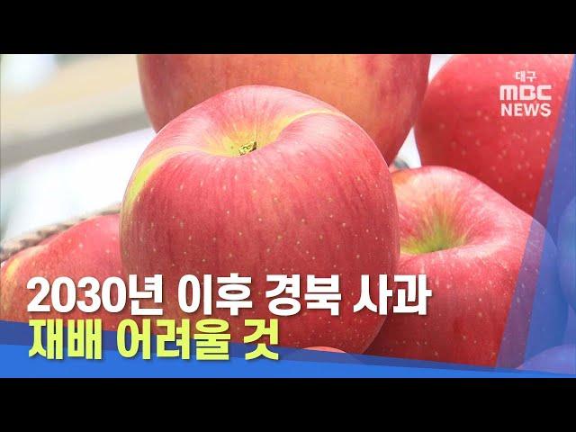 [대구MBC뉴스] "2030년 이후 경북 사과 재배 어려울 것"