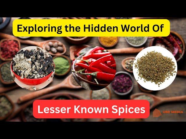 Discover the Untold Stories of Exotic Spices | History4U