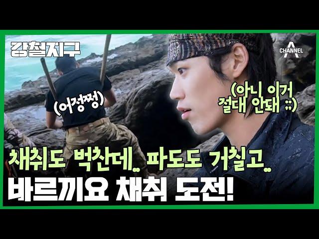 ＂이거 분명 쉬워 보였는데...?＂ 채취도 벅찬데.. 파도도 피해야 하고.. 바르끼요 채취에 도전한 강철이들 | 강철지구 33 회