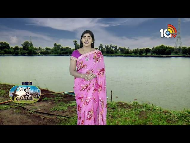 Matti Manishi Full Episode | మట్టి మనిషి | Agriculture Tips | 22-11-2024 | 10TV Agri