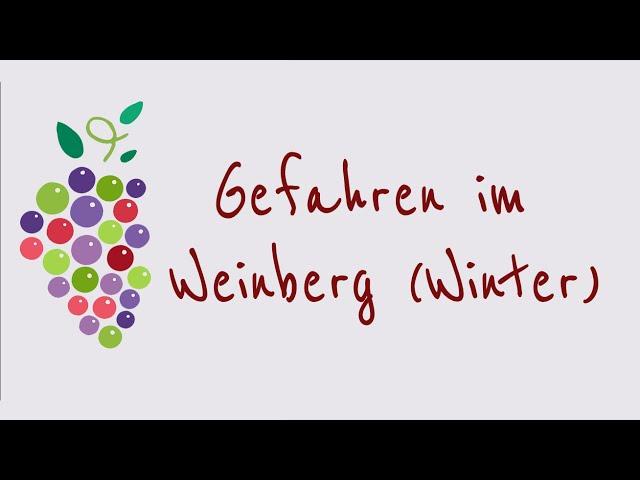 Ein Wort zum Wein - Gefahren im Weinberg (Winter)