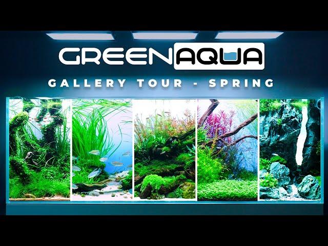 GREEN AQUA Gallery Tour 2024 Spring | Cinematic