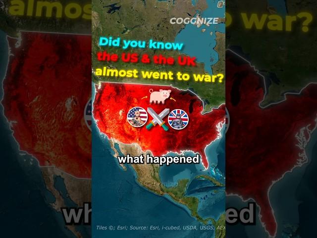 When The USA And The UK Nearly Went To War Over A Pig #shorts